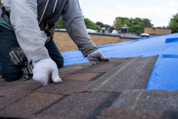 Trusted Edgerton, WI Roofing Contractor Experts